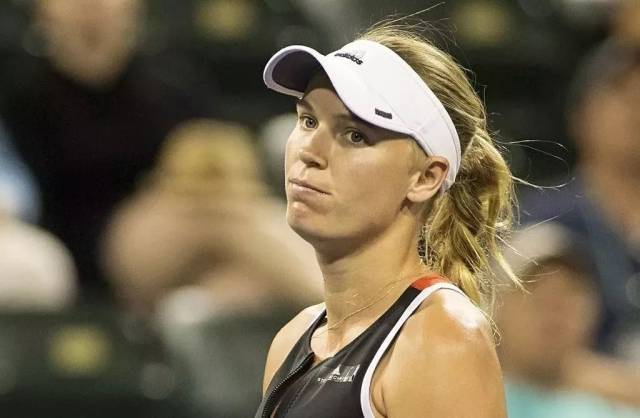 术团队展现 术团队展现